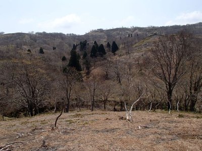チョウシからイブネのヘソを眺める