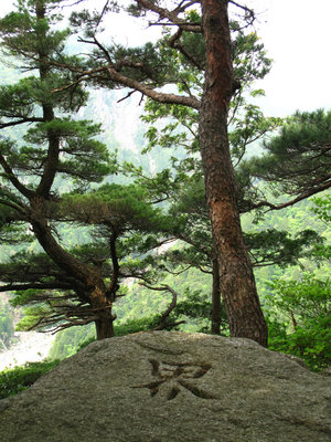 割谷の頭　　「界」