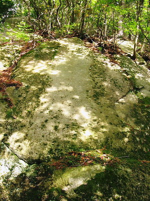 ● 一枚岩が道を塞ぐ、こんな所上がれるかい