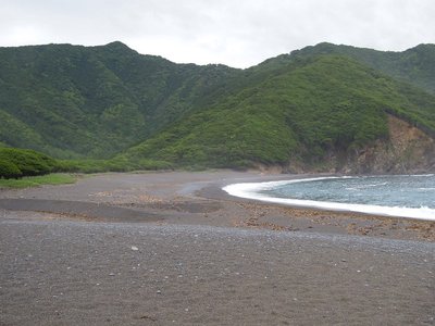 芦浜から座佐ノ高と登られた尾根。