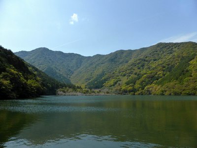 座佐池から座座の高を見上げています