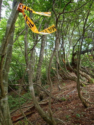 商店街の安売りノボリのように短間隔で続く