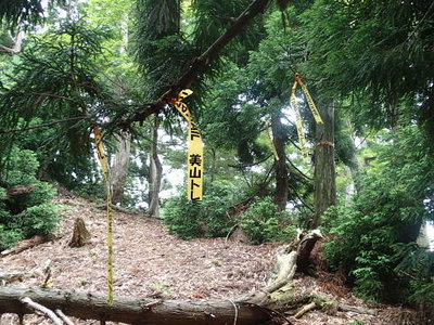 テープだらけ！