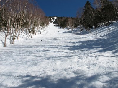 山頂へつづくジェットスライダー