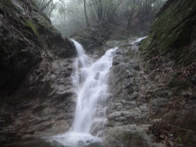カニグチ谷のY字滝