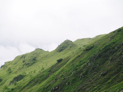 タンポポガーデンユートピアへ行こう