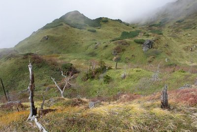 DSC06608-s.JPG (128.59 KiB) 閲覧された回数 6619 回 たんぽぽガーデン その2