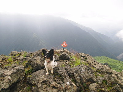 これナンやろ、どっちむき写すの？？