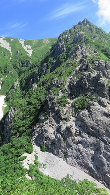 蓮華の大下り下部