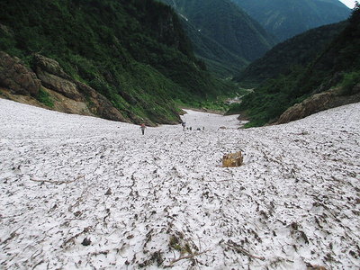 針の木雪渓.JPG (173.49 KiB) 閲覧された回数 7408 回 雪渓短しまちがわない、涼しくていいコースだね。