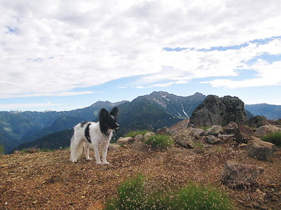 こちらは、槍から奥穂高だね。