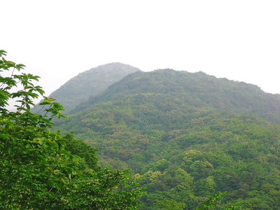 駄口から.JPG (138.35 KiB) 閲覧された回数 6377 回 ● 緑の山坊主が盛り上がって見えるよ