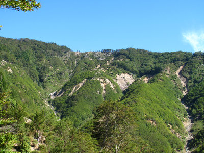焼山谷より東尾根