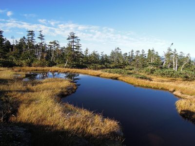 湿原.JPG (175.87 KiB) 閲覧された回数 4962 回 きれいな湿原