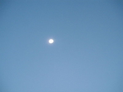 IMG_8431.JPG (48.46 KiB) 閲覧された回数 12014 回 10月6日は十三夜ですね、11月5日は後の十三夜とか