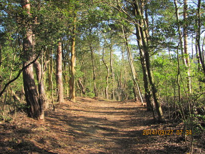 IMG_4001.JPG (1.18 MiB) 閲覧された回数 11977 回 IMG_4001.JPG