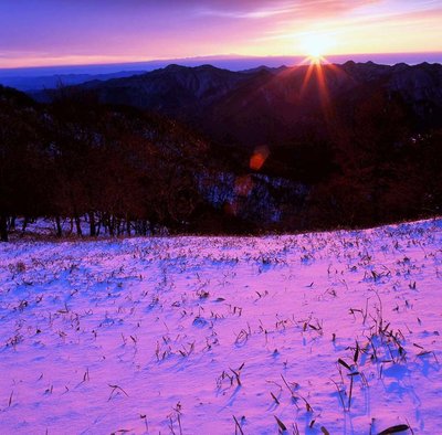 写真展2.jpg (130.65 KiB) 閲覧された回数 11945 回 ファーストシーン
