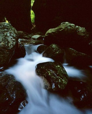 写真展3.jpg (111.12 KiB) 閲覧された回数 11944 回 季の扉