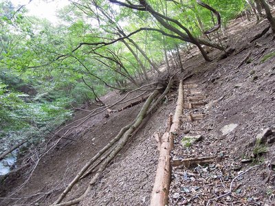 修理されつつある道.jpg (548.41 KiB) 閲覧された回数 8388 回 修復されつつある道