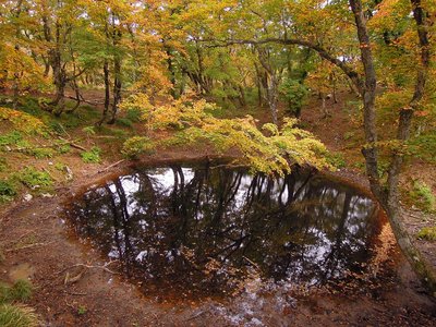 紅葉の幸助の池.jpg (519.12 KiB) 閲覧された回数 8388 回 紅葉が始まっている