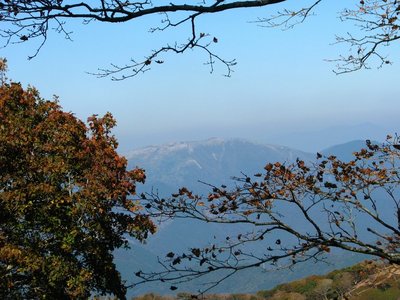 ry.JPG (154.86 KiB) 閲覧された回数 8697 回 霊仙山見ゆ