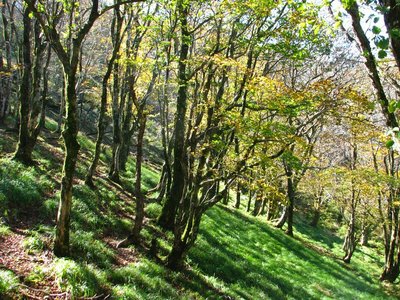 rc.JPG (271.74 KiB) 閲覧された回数 8698 回 のどかなるランチ場から