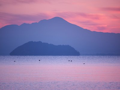 s-PA184406.jpg (197.52 KiB) 閲覧された回数 12328 回 竹生島と伊吹山