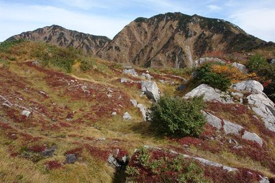 秋のおニャンコ又もエエよん　（左カマタン・右ネコマタ）