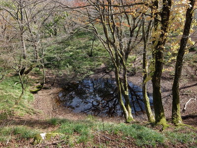 これってなに池？