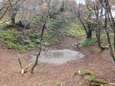 これはただの水たまり？