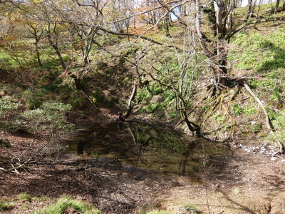 これもわからん(^_^;)