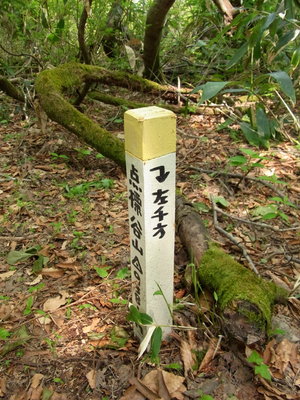 左千方への道も拓かれた