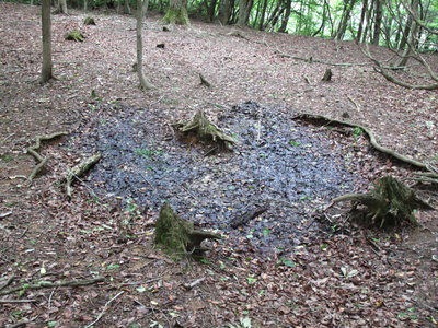 ハートのヌタ場