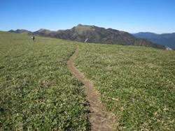 尾根が広がって、三嶺が見えた