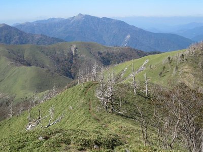 西へ向かってうねる縦走路
