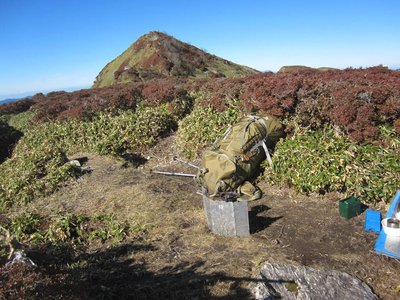 IMG_2643.JPG (186.93 KiB) 閲覧された回数 5817 回 コメツツジに染まった三嶺ピーク