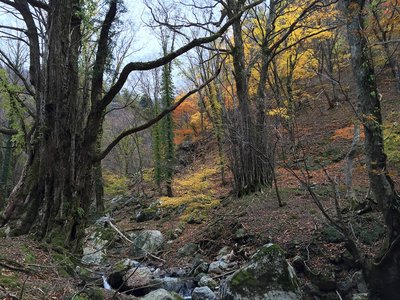 IMG_4712.jpg (498.41 KiB) 閲覧された回数 4465 回 甲森谷