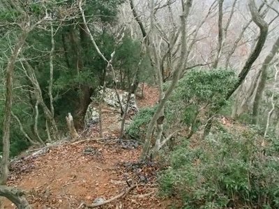 今回下った藪が少ない尾根