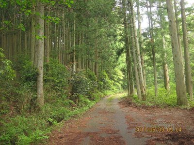 20110610ryu_hutoo 002.jpg (198.01 KiB) 閲覧された回数 18182 回 ツボ谷林道