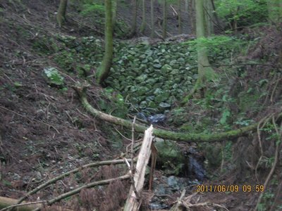 20110610ryu_hutoo 005.jpg (192.81 KiB) 閲覧された回数 18791 回 石垣状の砂防ダム