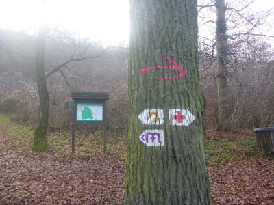 P1080821.jpg (108.86 KiB) 閲覧された回数 6264 回 コースのマーク