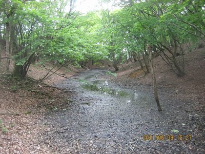 20110610ryu_hutoo 019.jpg (198.17 KiB) 閲覧された回数 18182 回 太尾の長池