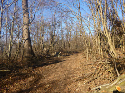 P1080861.jpg (210.28 KiB) 閲覧された回数 5900 回 よく整備された遊歩道