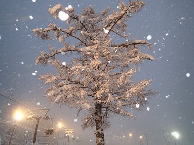 s-20141230-PC300044.jpg (270.12 KiB) 閲覧された回数 8780 回 s-20141230-PC300044.jpg