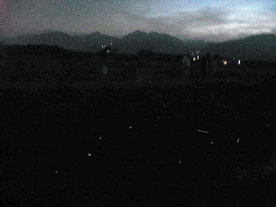 ● 陽が落ちてやがてホタルの淡い光が灯るよ