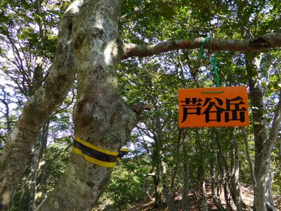 P1010089.JPG (424.65 KiB) 閲覧された回数 12780 回 芦谷岳山頂