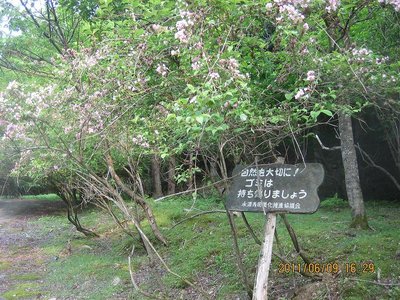 焼尾（ここに降り立った）