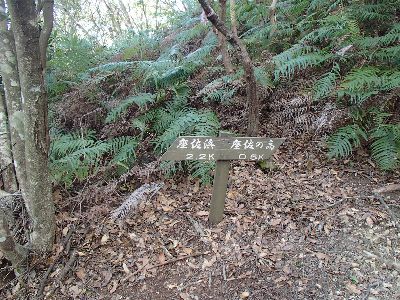 座佐ノ高からの北尾根とP332を通る南尾根との交差点