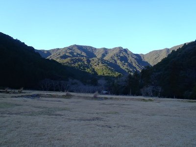 芝生の田んぼから見る姫越山