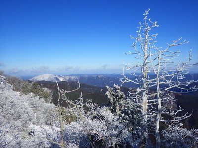 檜塚東峰から高見山。